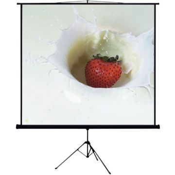 Ecran de projection avec trépied 160x160cm
