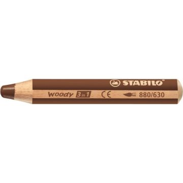 Crayon de couleur Woody marron