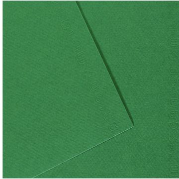 Paquet de 10 feuilles mi-teinte format 50x65cm  vert billard