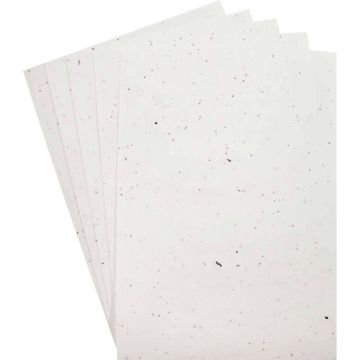 Paquet de 5 feuilles ensemencées format A4
