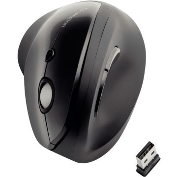 Souris sans fil ergonomique Kensington Pro Fit  pour droitier