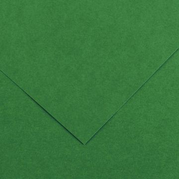 Paquet de 10 feuilles Colorline 50x65 cm 150 g vert mousse