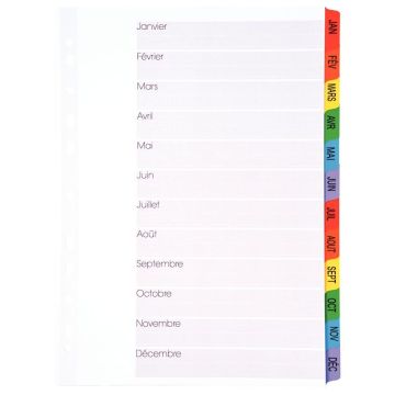 Jeu de 12 intercalaires mensuels en carte Mylar, format A4