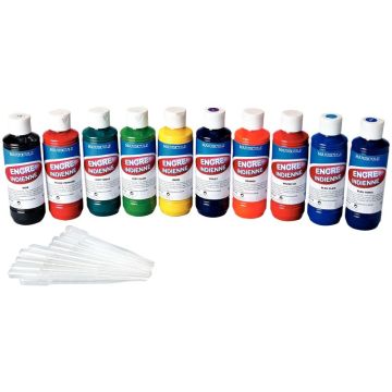 Carton de 10 Flacons 250 ml d'encres indiennes MAJUSCULE