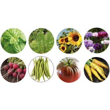 Lot de 50 sachets de graines bio