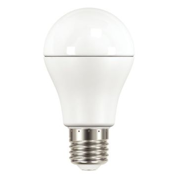 Ampoule LED E27 haute performance 10,5W