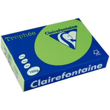 Paquet de 250 feuilles format A4 160g vert menthe CLAIREFONTAINE