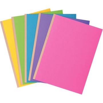 Paquet de 10 chemises rigides ROCK"S 320g dos toilé, coloris assortis