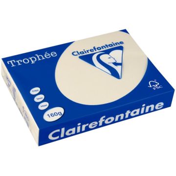 Paquet de 250 feuilles format A4 160g ivoire CLAIREFONTAINE