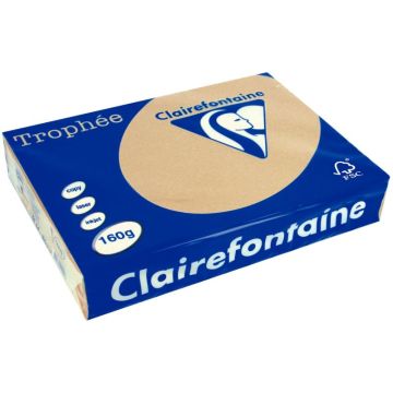 Paquet de 250 feuilles format A4 160g caramel CLAIREFONTAINE