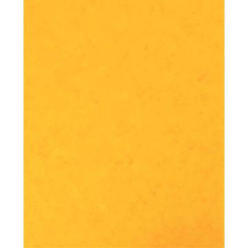 Lot de 10 protège-cahier 2 grands rabats format 18 x 22 cm carte lustrée coloris jaune