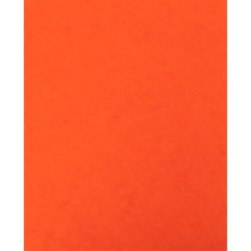 Lot de 10 protège-cahier 2 grands rabats  format 18 x 22 cm carte lustrée coloris orange