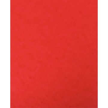 lot de 10 protège-cahier 2 grands rabats  format 18 x 22 cm carte lustrée coloris rouge