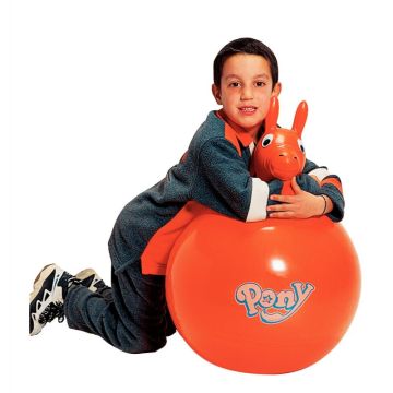 Ballon sauteur My pony diamètre 45 cm