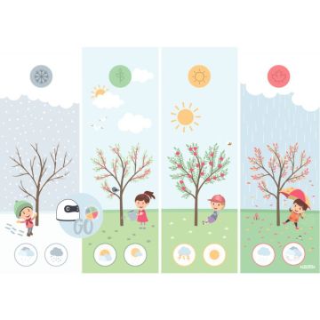 Planche les 4 saisons