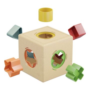 Cube des formes PLAYBIO