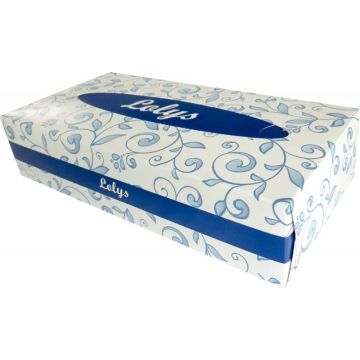 Lot de 40 boites de 100 mouchoirs 2 plis