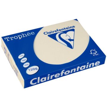 Paquet de 250 feuilles format A4 120g ivoire  CLAIREFONTAINE