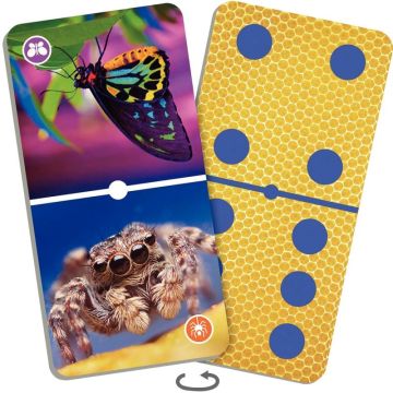 Natudomino les insectes