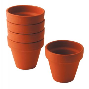 Lot de 5 pots en terre cuite, hauteur 8 cm