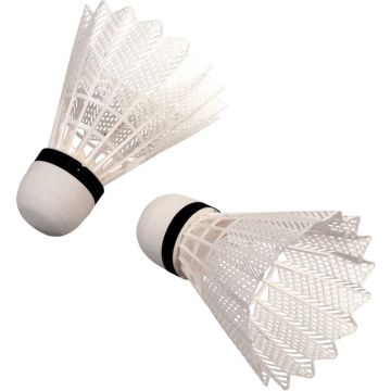 Boîte de 6 volants de badminton