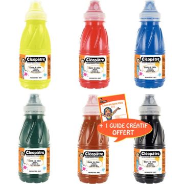 Lot de 6 Flacons 250 ml d'encre de Chine