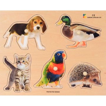 Encastrement en bois 5 pièces, les animaux de compagnie