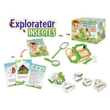 Explorateur d'insectes