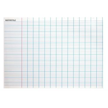 Panneau blanc effaçable à sec collectif seyes géant avec marge Format 100x140 cm