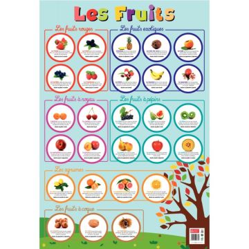 Poster en PVC 76x52cm les fruits
