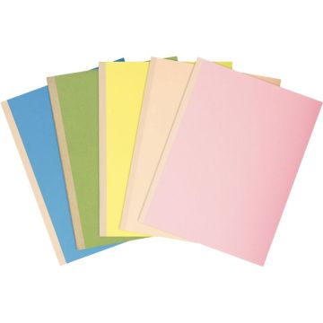 Paquet de 10 chemises rigides FOREVER dos toilé, coloris assortis